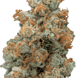 Ghost OG