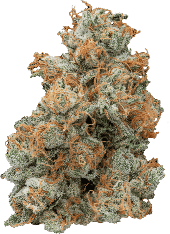 Ghost OG