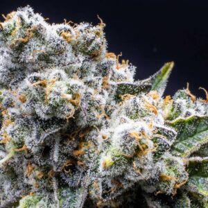 Grapes & Cream