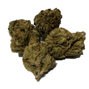 Skunk Afghani
