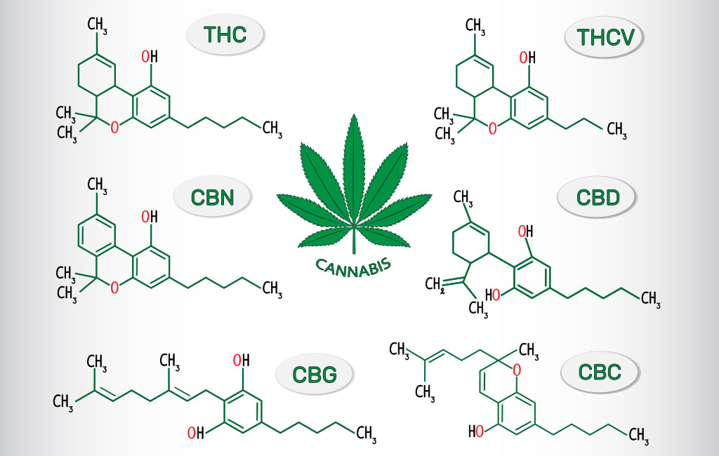 Different Types of Cannabinoids