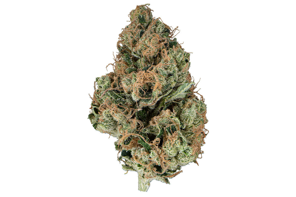 East Coast Sour Diesel
