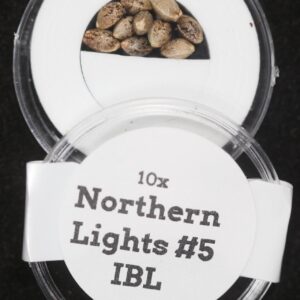 Northern Lights #5