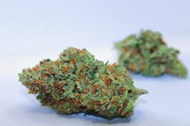 Forbidden Zkittlez