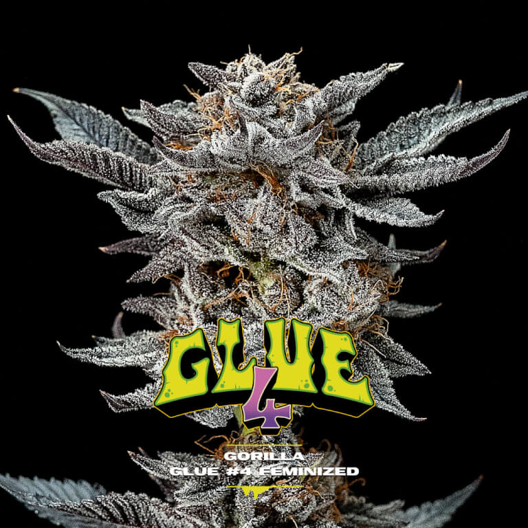 Gorilla Glue #4