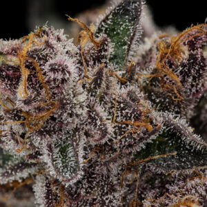 Tropicana Cherry