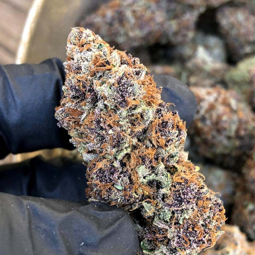 Forbidden Fruit