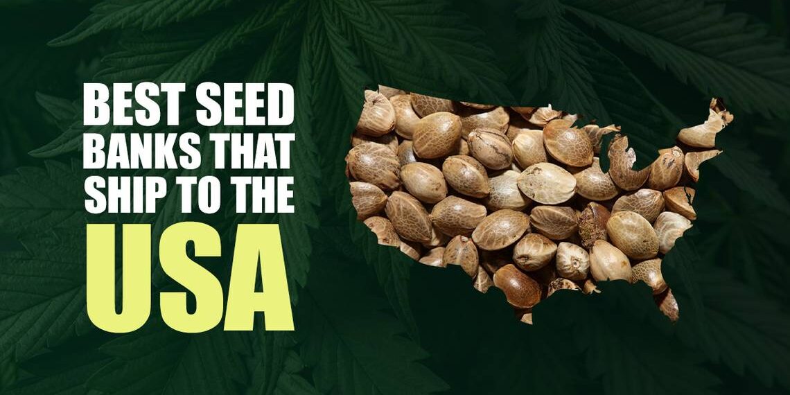Unlocking the Secrets of Top Cannabis Seed Banks: Why Choose The Clone Conservatory?
