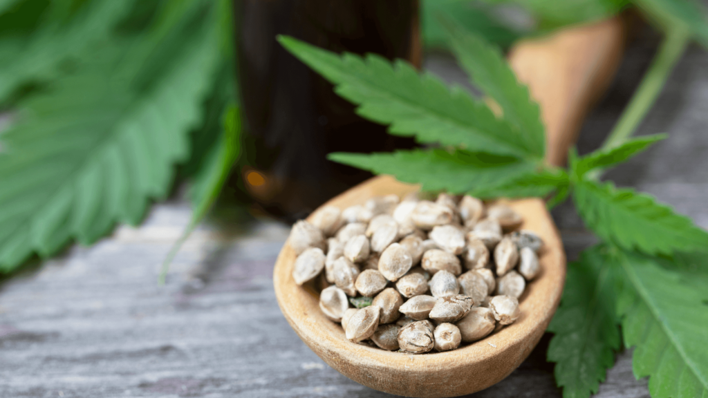 What To Check When Buying Best Marijuana Seeds