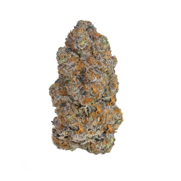 Biscottis