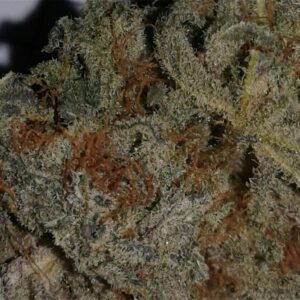 Blackberry Kush