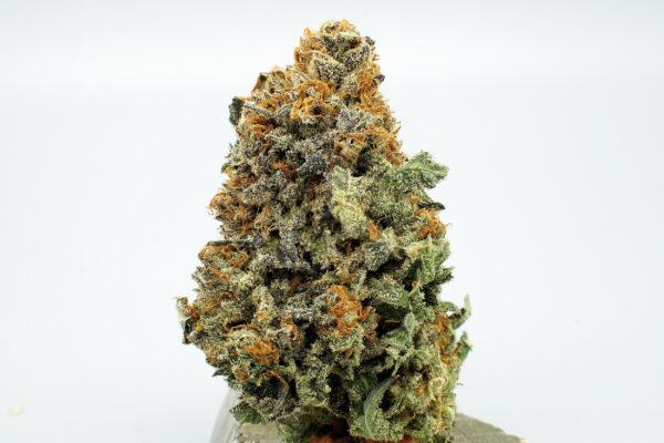 Sour Apple