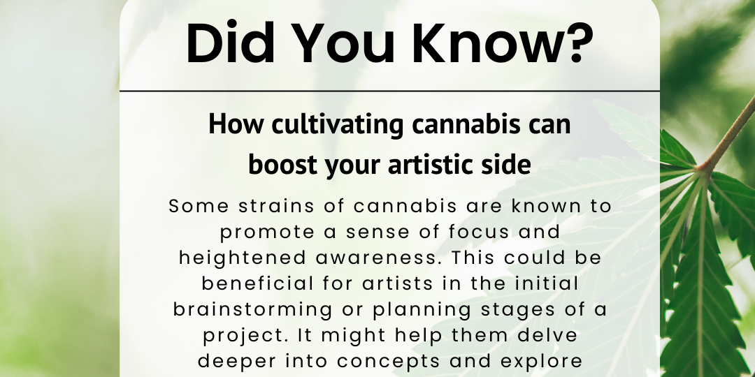Unlock Your Creative Potential with Cannabis Cultivation