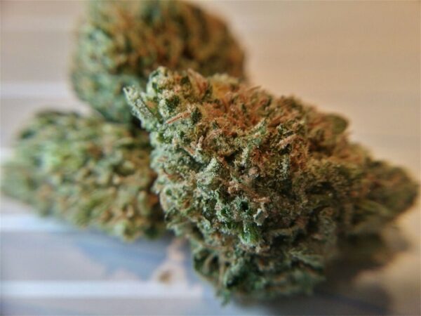 Black Widow