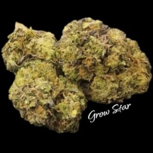 Grizzly Purple Kush