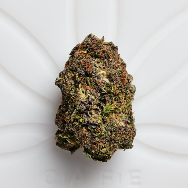 MK Ultra