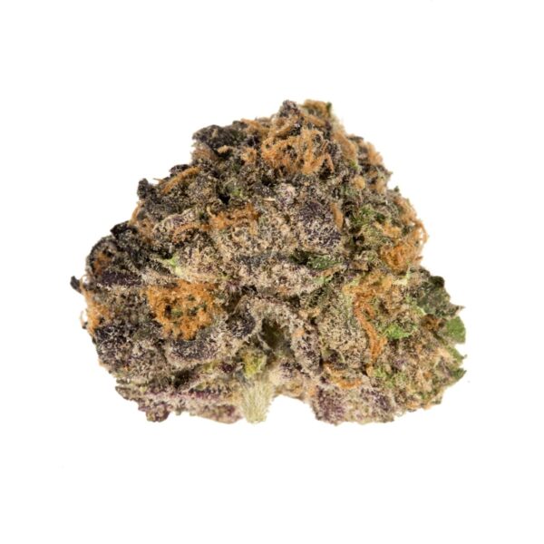 Purple Urkle
