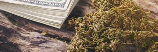 Benefits with Every Grow
