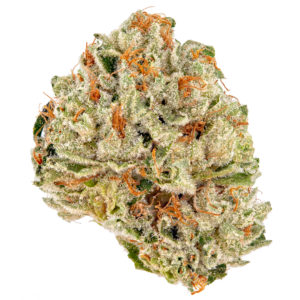 Sour Kush