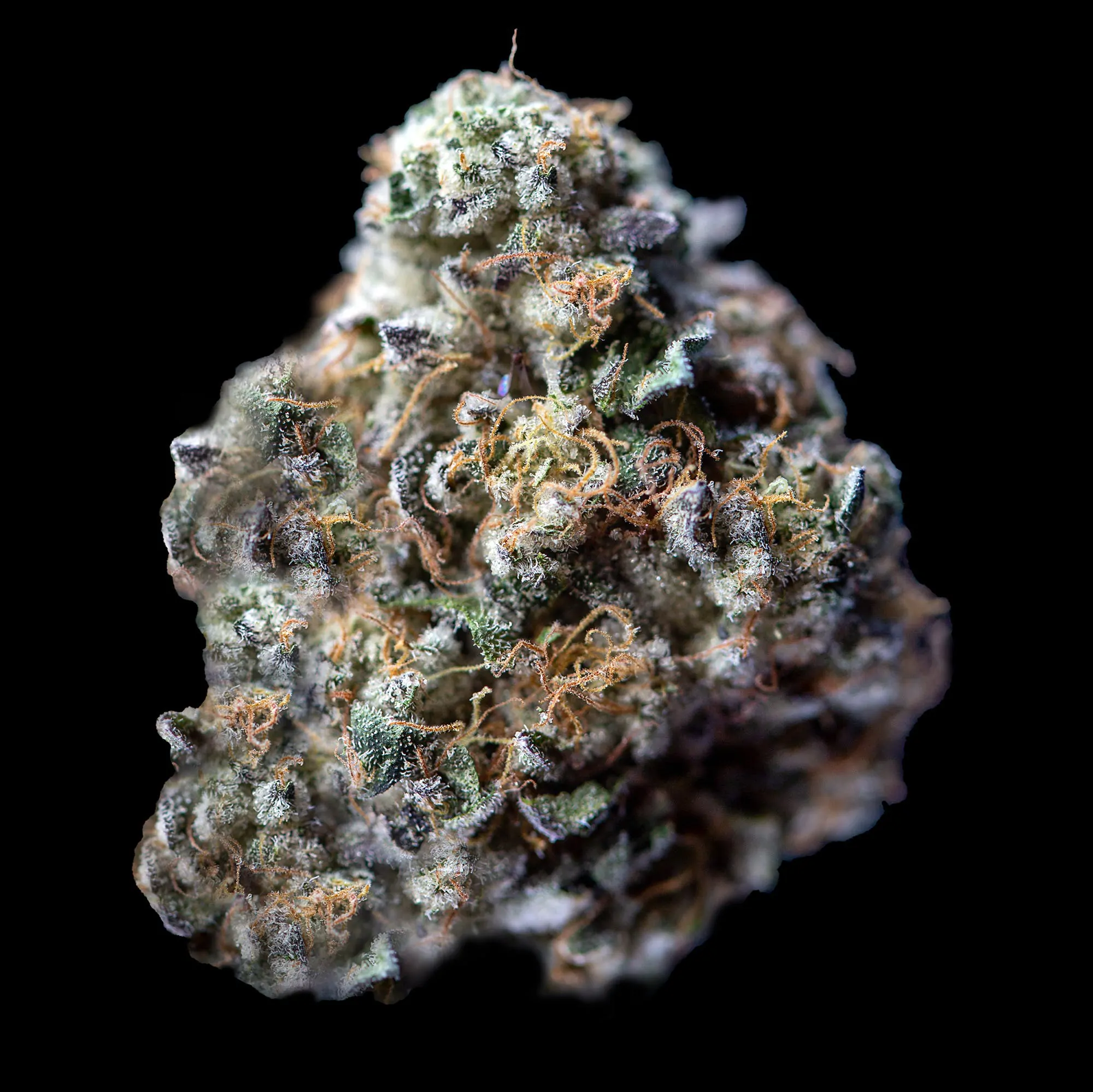 Blood Diamond OG