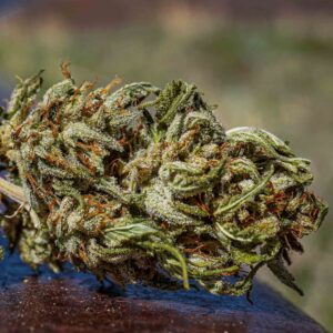 San Fernando Valley OG