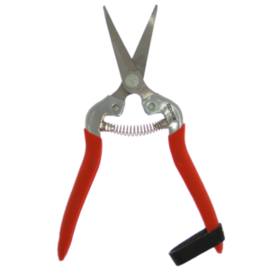 Harvest Shear with Long Curved Blade