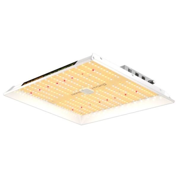 led cannabis grow lights