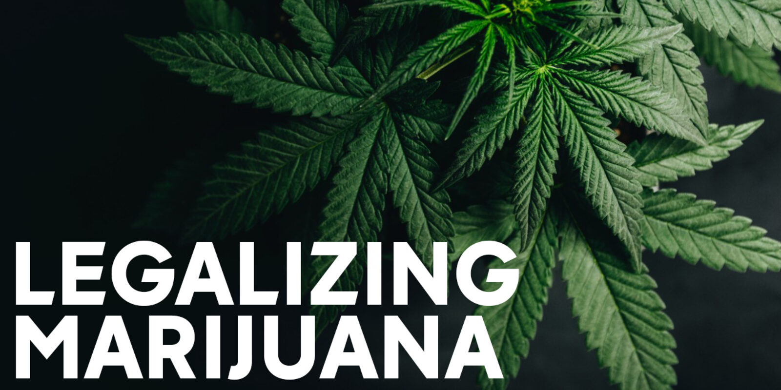 Which States Could Legalize Weed? Here’s Where Marijuana is on the Ballot Election Day 2024