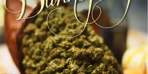 A Cannabis-Infused Thanksgiving: Strains to Pair with Your Feast