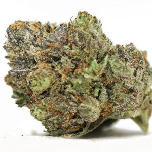 Rainbow Belt Strain