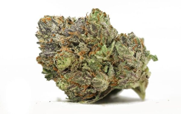 Rainbow Belt Strain