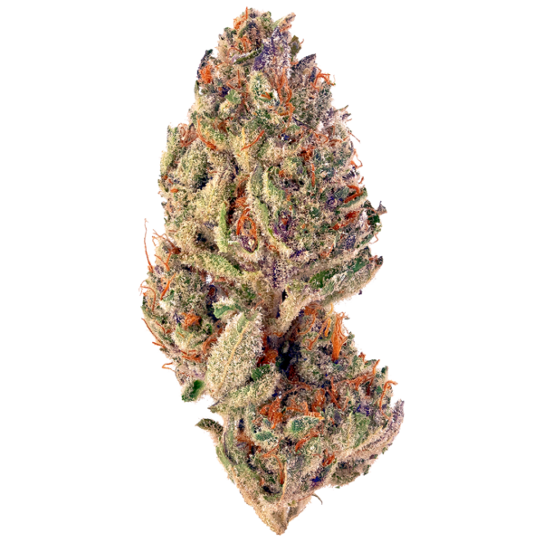 Tropicana Icing