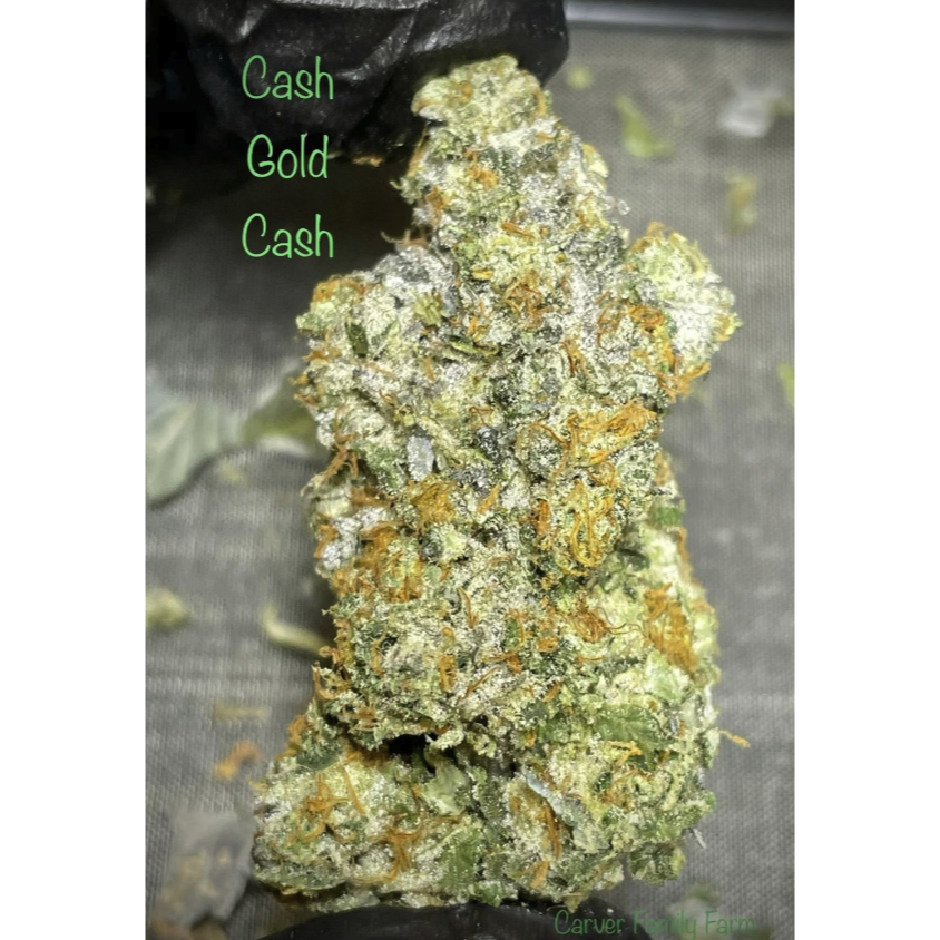 Gold Cash Gold