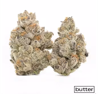 Platinum Lemon Cherry Gelato