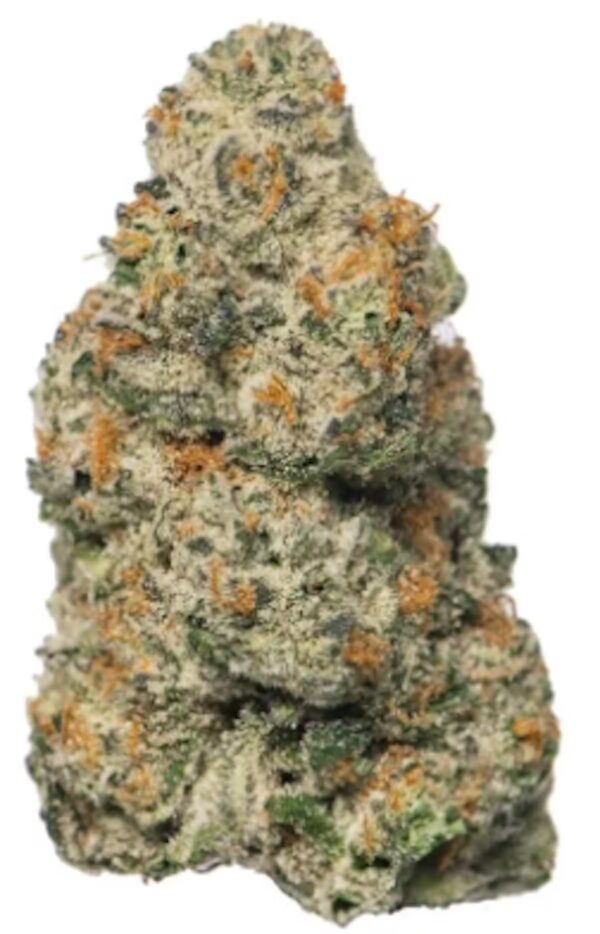 Strain