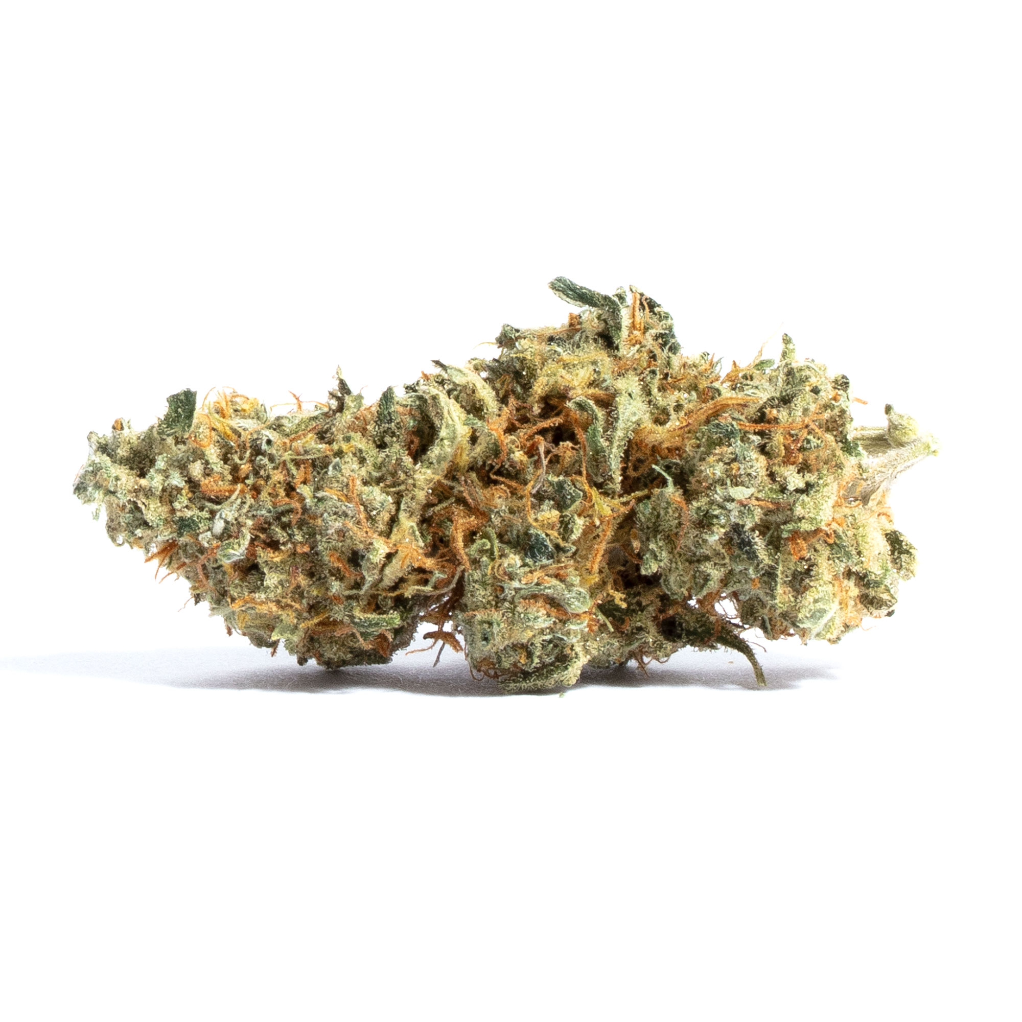 Amnesia Hypro
