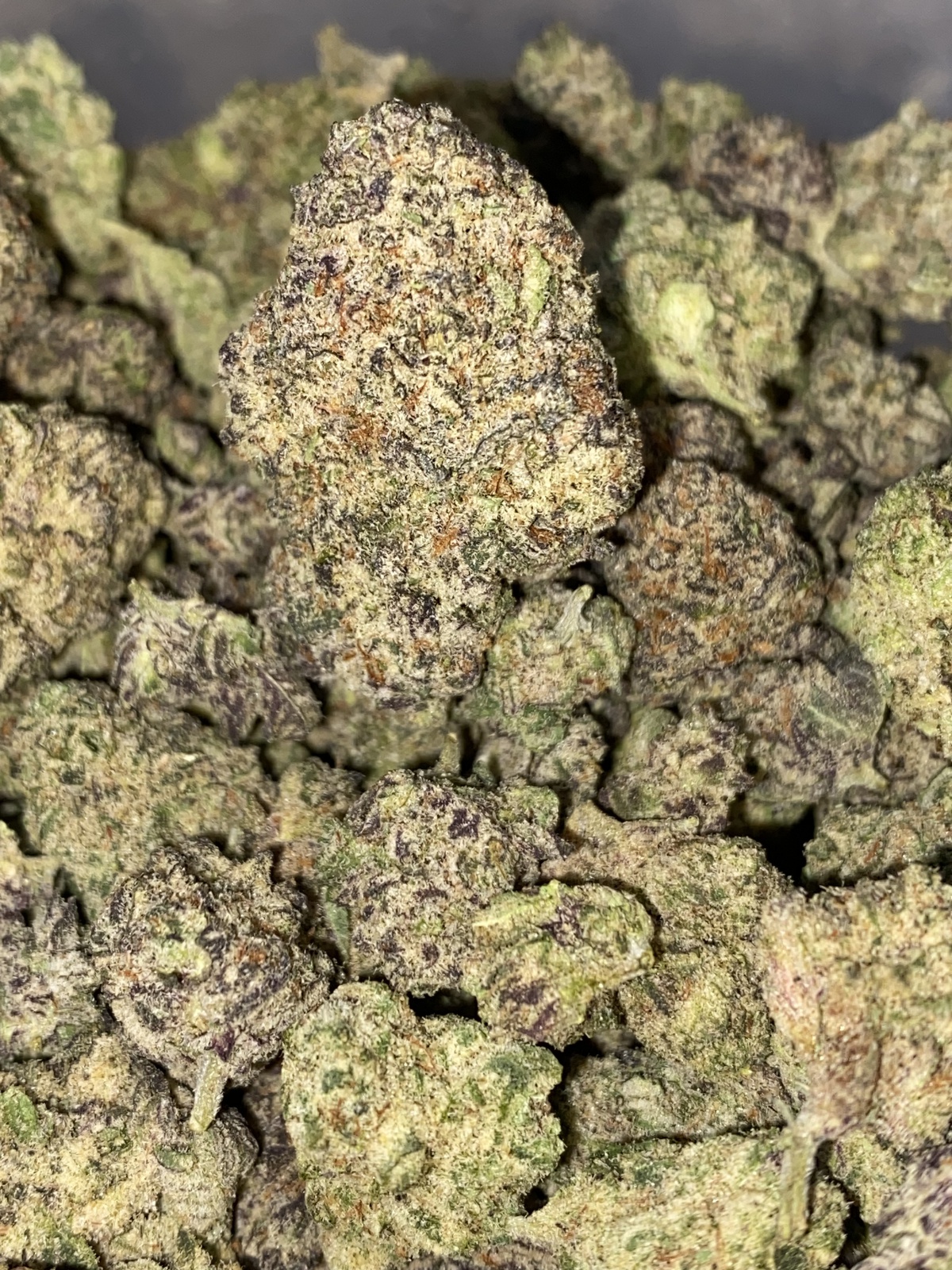 Bubblegum Gelato