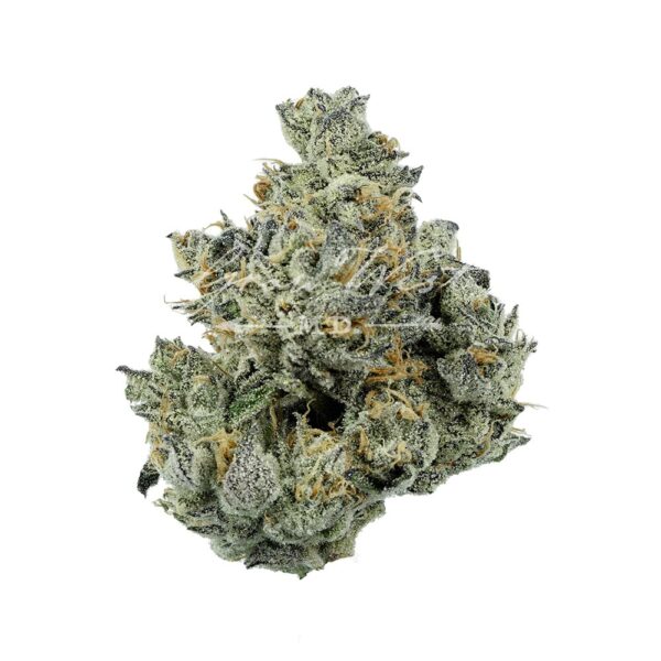 Chocolate Cough