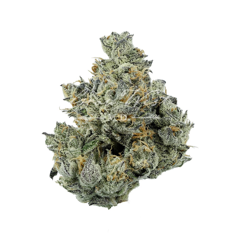 Chocolate Cough