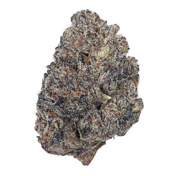 KAMIKAZI JOKERZ CANDY