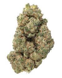 Key Lime Jack