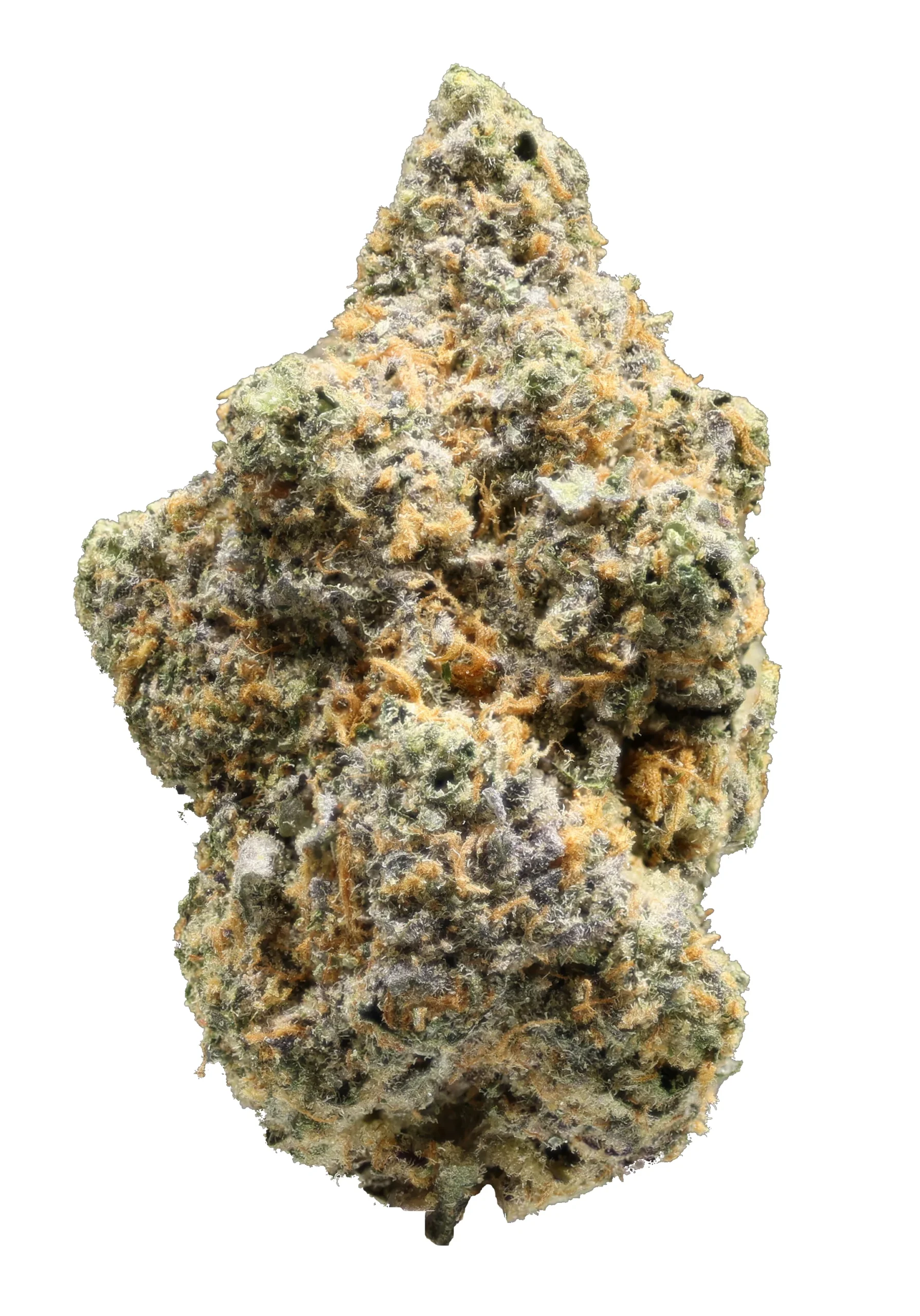Rainbow Sherbert