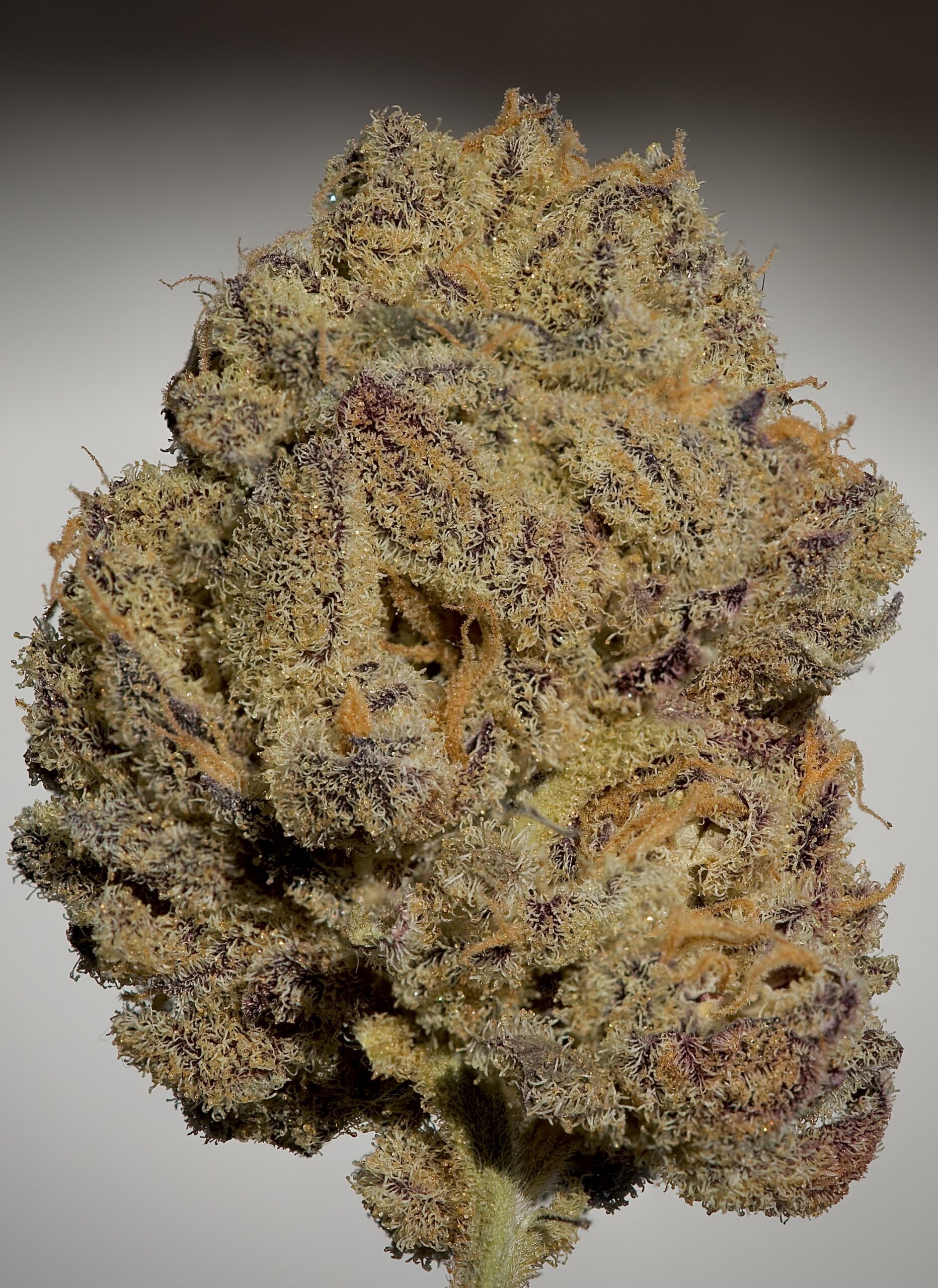 Highspeed