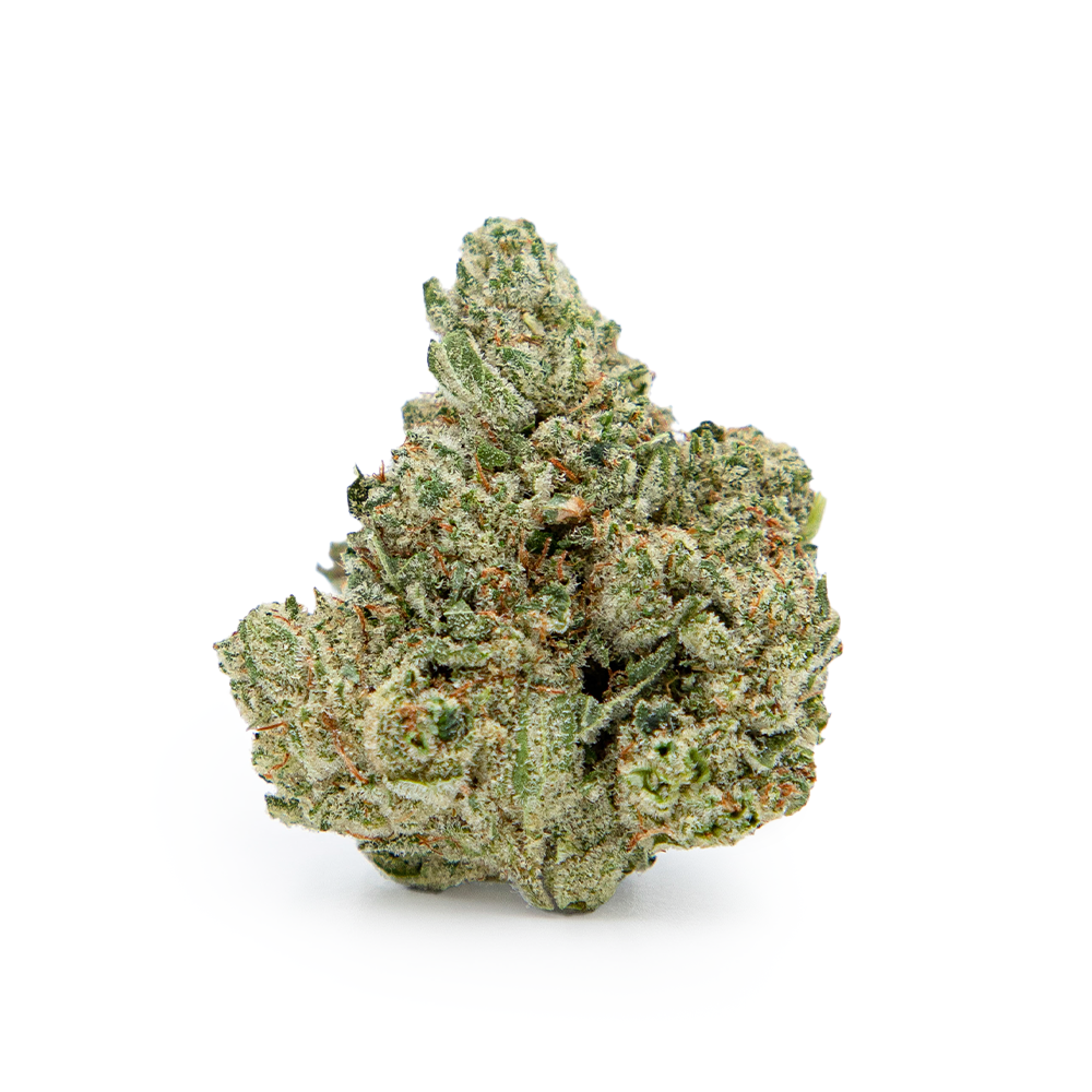 GG4