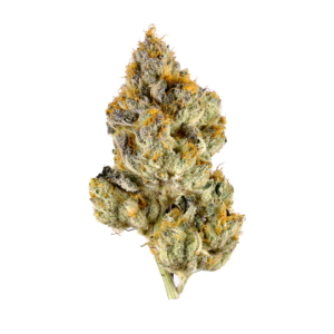 True Gas