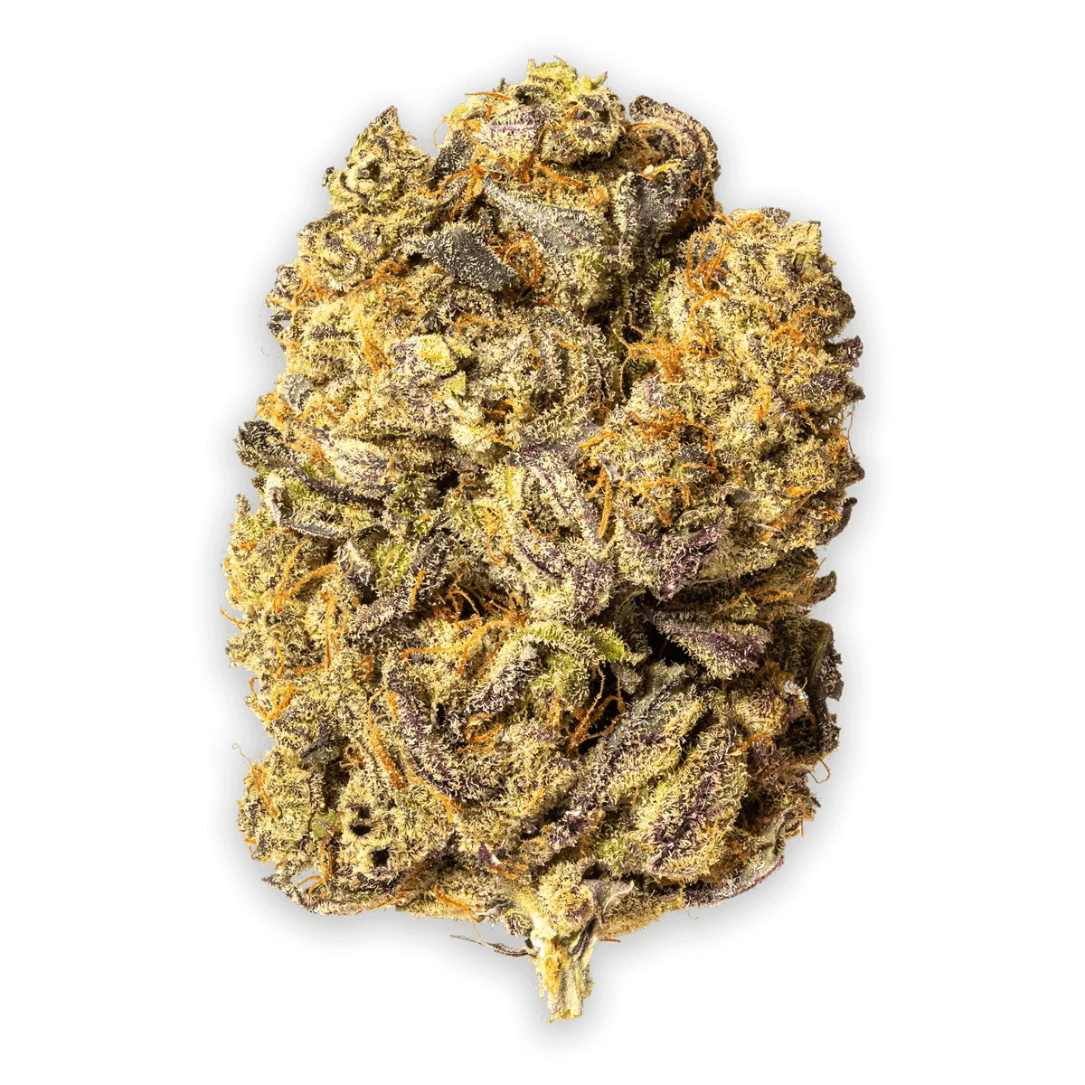 Ocimene Kush