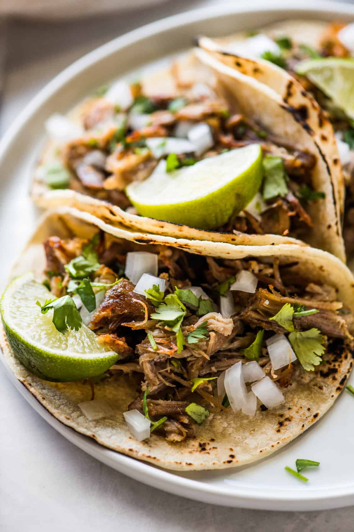 Cannabis Carnitas Tacos: Your New Favorite Taco Tuesday Treat 🌮🌿