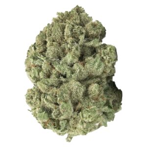 Strain