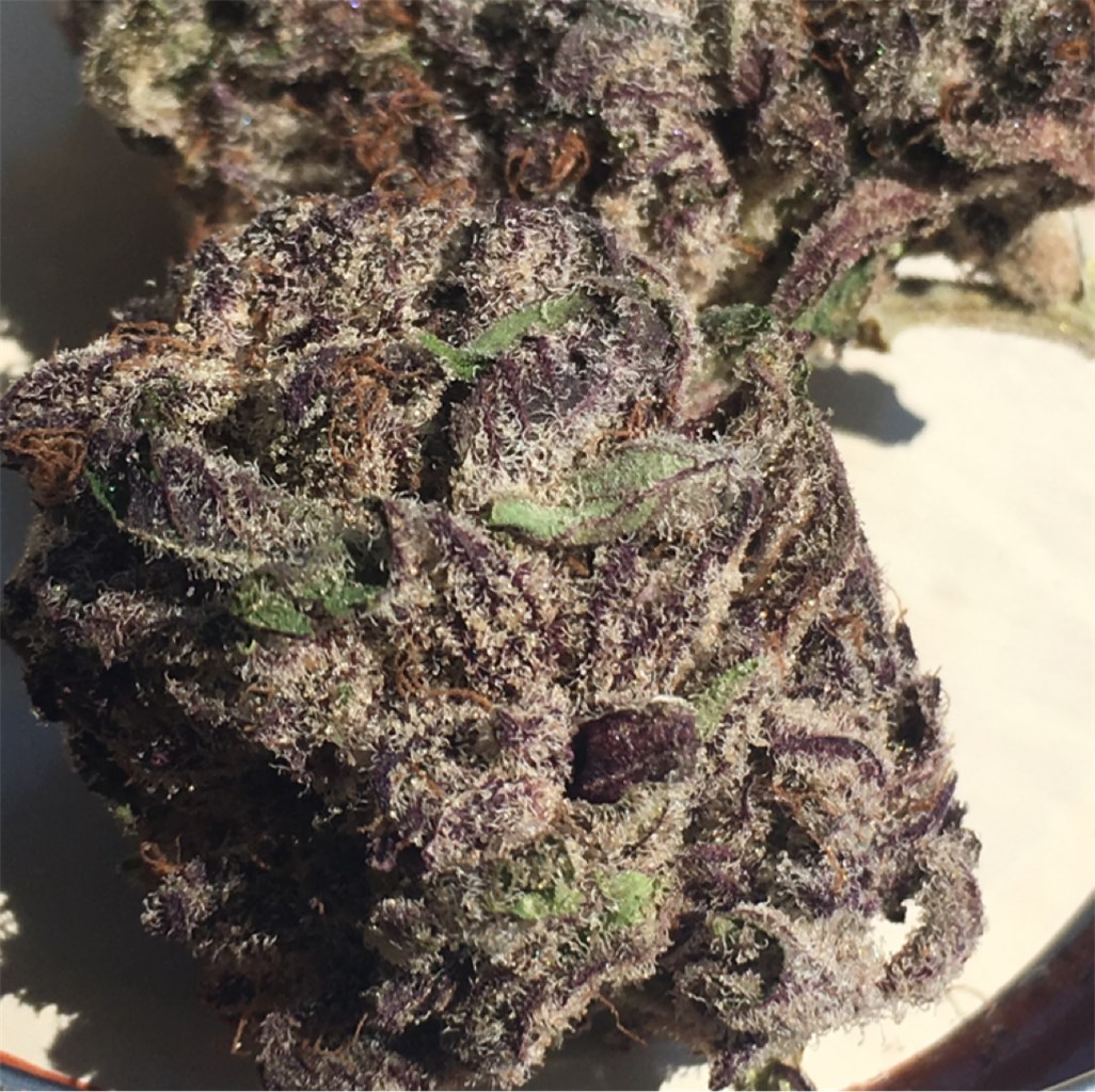 Purple Chemdawg
