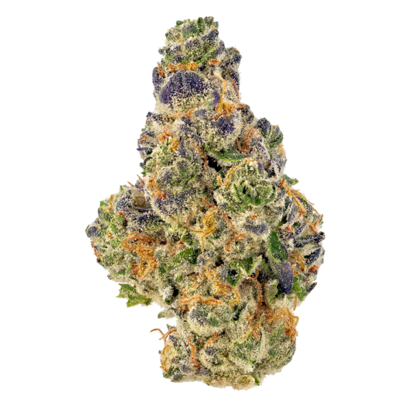 strain-5